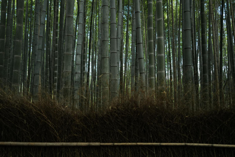 Kyoto - Tidig morgon Tidig morgontur med engelsktalande guide