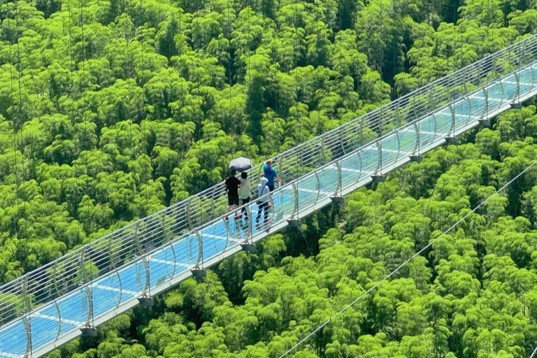 Shanghai: Crouching Tiger Bamboo Forest & White Tea Trip