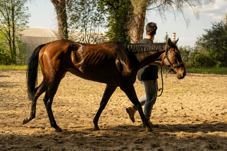 El Cotillo: Sunset Cliff Horseback Ride with Drink