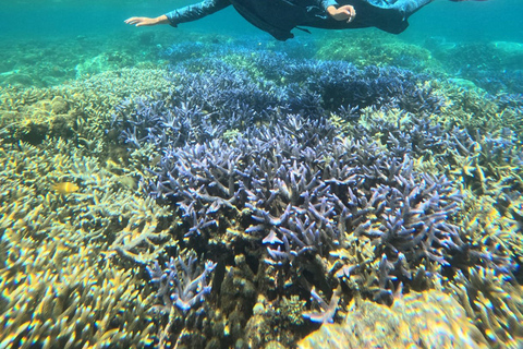 Lombok Private Snorkeling: Hidden Southwest 5 Gili Islands Lombok: Private Snorkeling Gili Asahan (5 Gilis) + Lunch