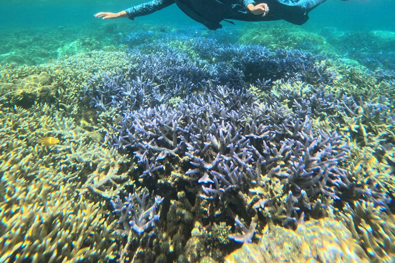 Lombok Private Snorkeling: Hidden Southwest 5 Gili Islands Lombok: Private Snorkeling Gili Asahan (5 Gilis) + Lunch