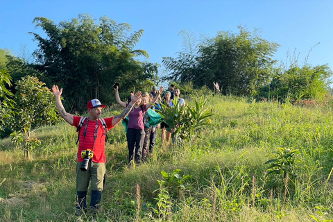 Chiang Rai: Trekking, Bamboo Cooking, and Hot Springs Tour