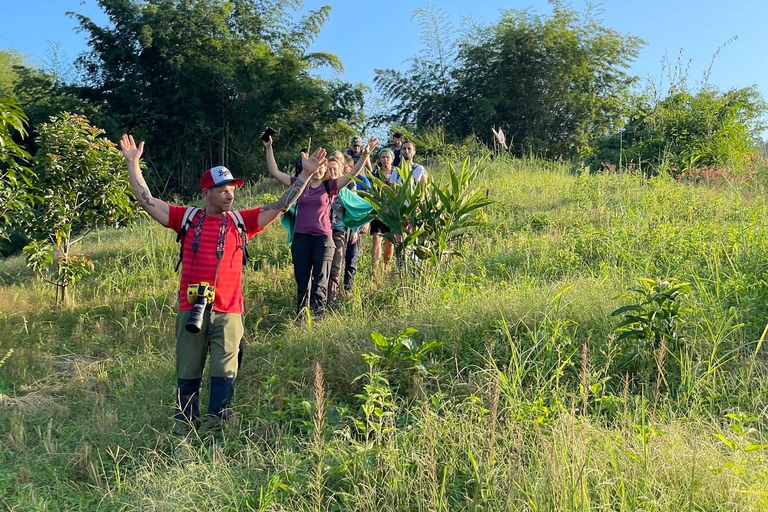 Chiang Rai: Trekking, Bamboo Cooking, and Hot Springs Tour