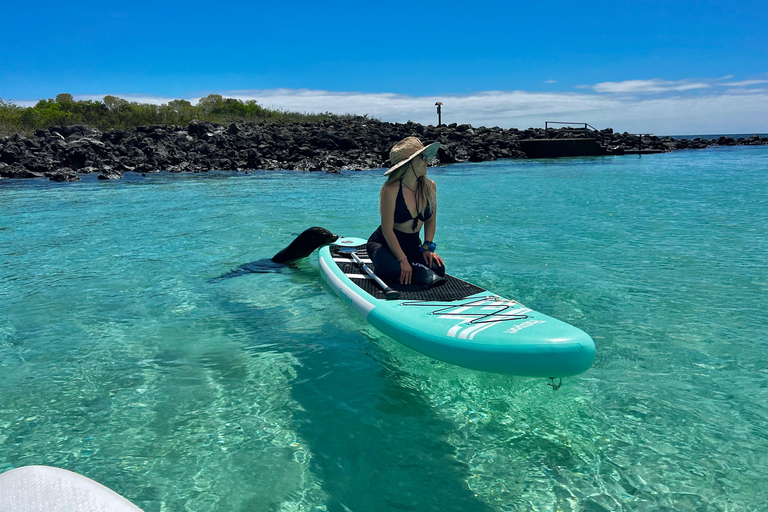 Paddleboard Adventure with Sea Lions on San Cristobal Island