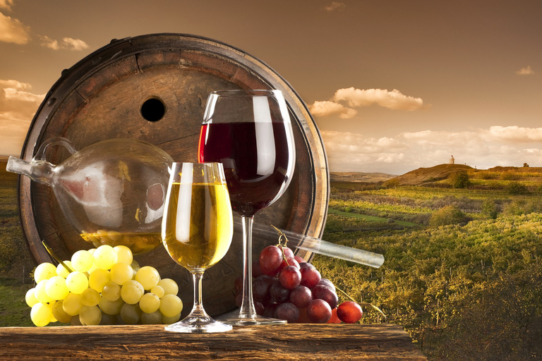 Journée en Provence, Saint-Tropez Village de Grimaud Dégustation de vinsvisite partagée : Saint Tropez, village de Grimaud, dégustation de vins.