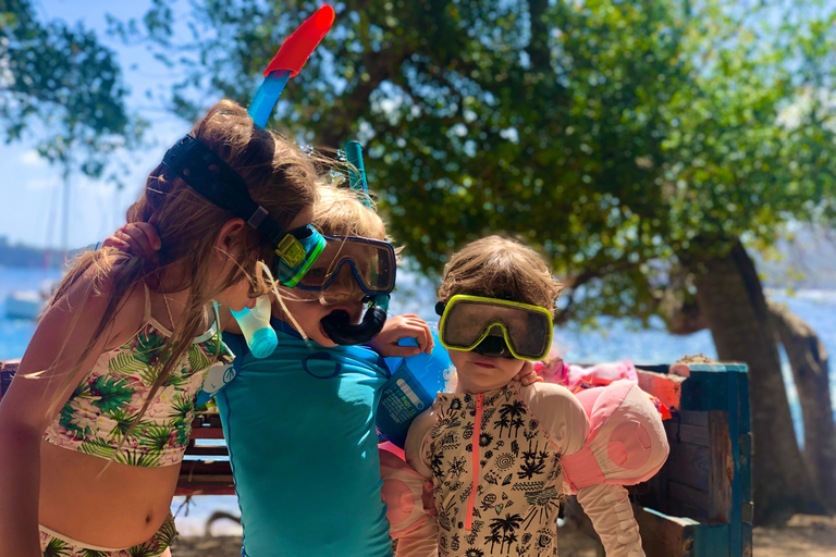 Guadeloupe:half Day on catamaran les Saintes, terre de haut