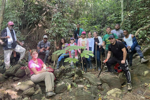 Monkey’s Creek: An Extreme Tropical Forest Hiking Adventure