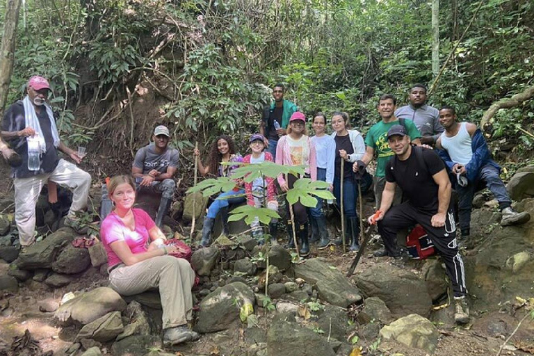 Monkey’s Creek: An Extreme Tropical Forest Hiking Adventure