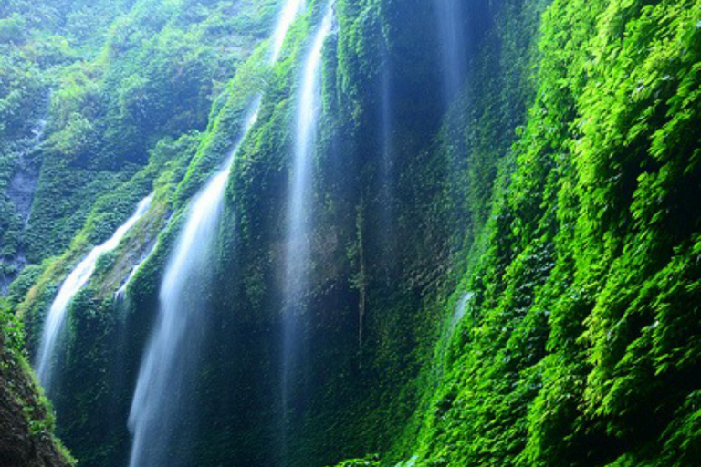FROM YOGYAKARTA;3D2N MADAKARIPURA WATERFALL,BROMO AND IJEN