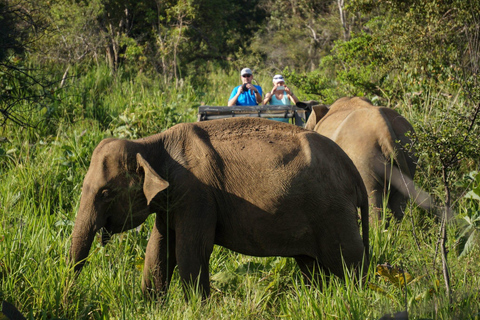 Sigiriya e Dambulla: tour con jeep safari da Pasikudah