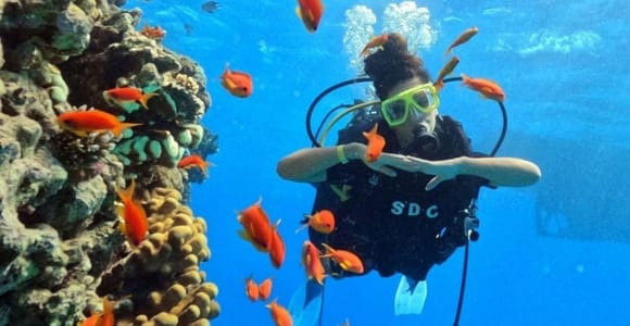 Fethiye: Fly and Dive, Paragliding and Scuba Diving Together, Transport Included