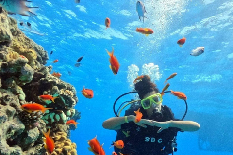 Fethiye: Fly and Dive, Paragliding and Scuba Diving Together, Transfer Included