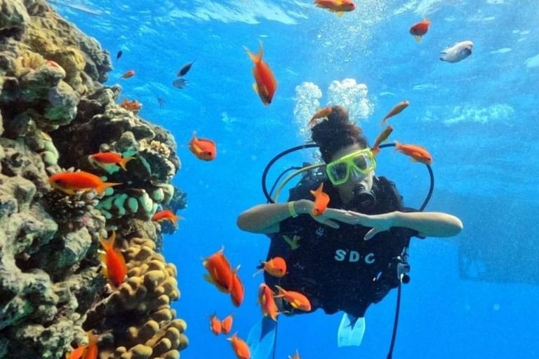 Fethiye: Fly and Dive, Paragliding and Scuba Diving Together, Transfer Included