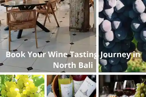Bali: Pacote de 5 dias para a Costa Norte de Bali com vinho e golfinhos