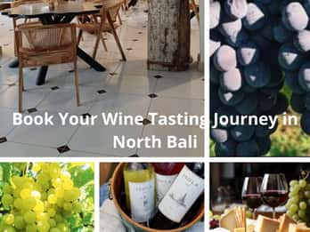 Bali: 5-tägige Nordbali Küstenwein & Delphin Tour Paket