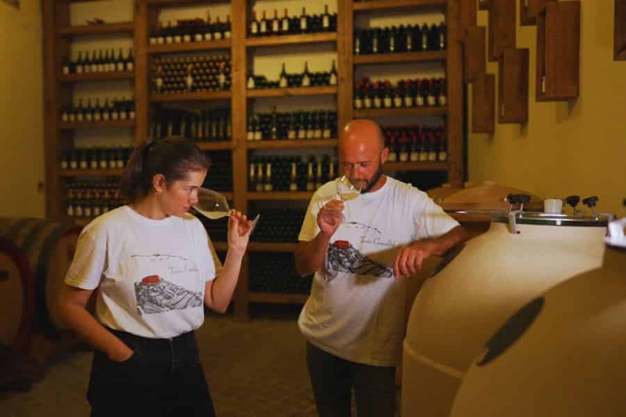 Neapel: Tour durch das Weingut und Weinverkostung am Astroni-Krater
