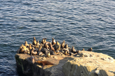 Orange County to San Diego: Guided Day Trip