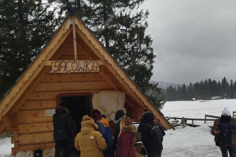 Gita privata ai bagni termali e a Zakopane, ritiro a Cracovia