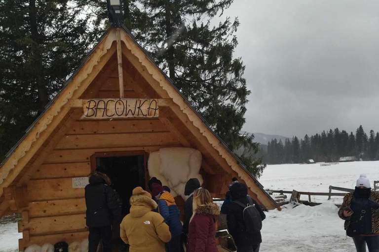 Gita privata ai bagni termali e a Zakopane, ritiro a Cracovia