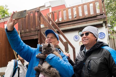 Reykjavik: Feline-Focused City Walking Tour