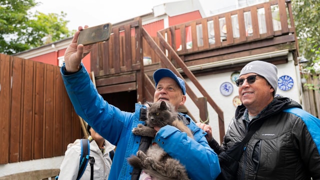Reykjavik: Feline-Focused City Walking Tour