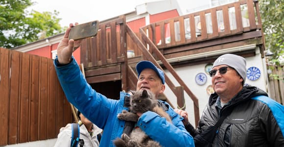 Reykjavik: Feline-Focused City Walking Tour