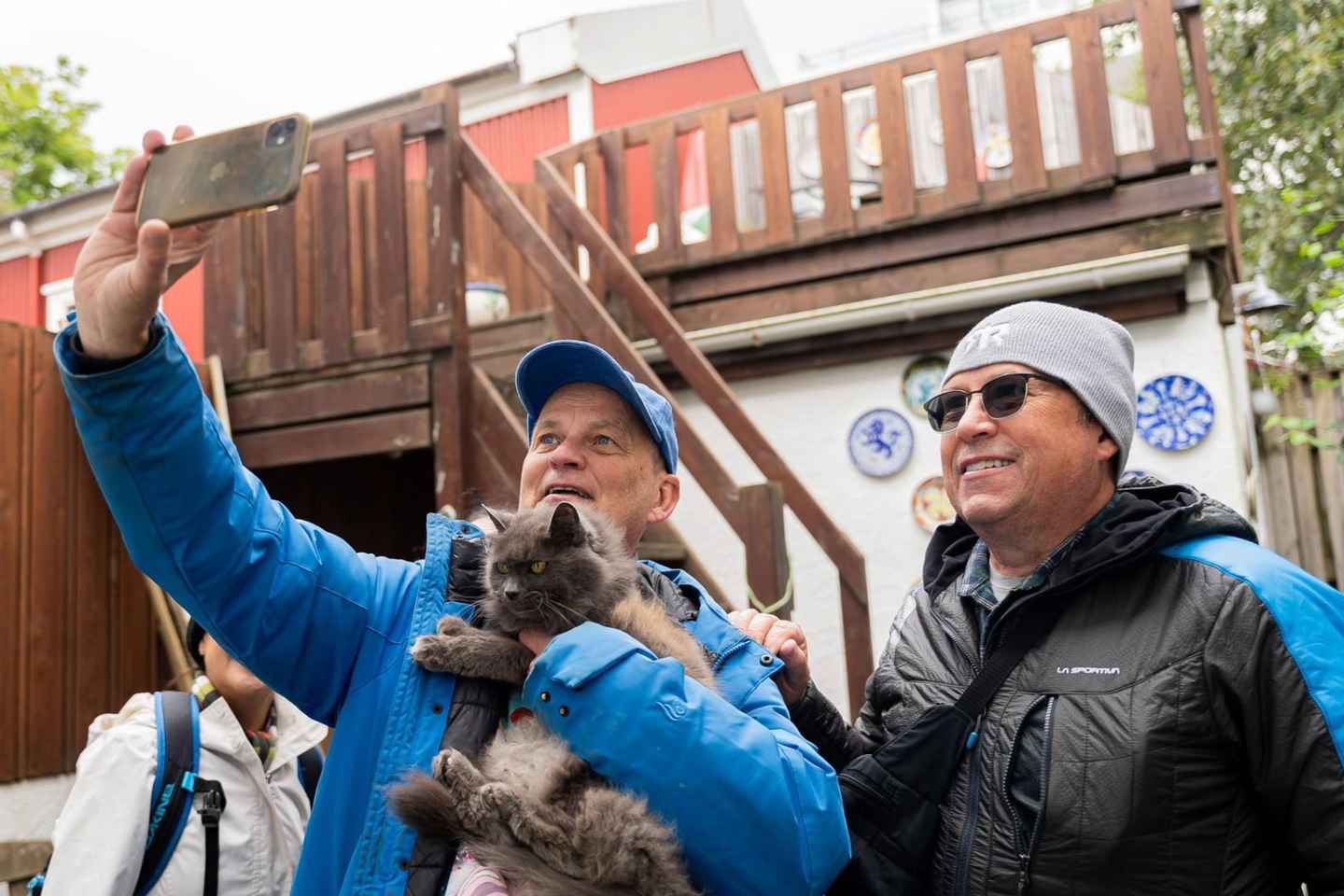 Reykjavik: Feline-Focused City Walking Tour