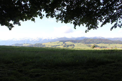 Bern: Tour preAlps-World Champion Cheese Factory, great view