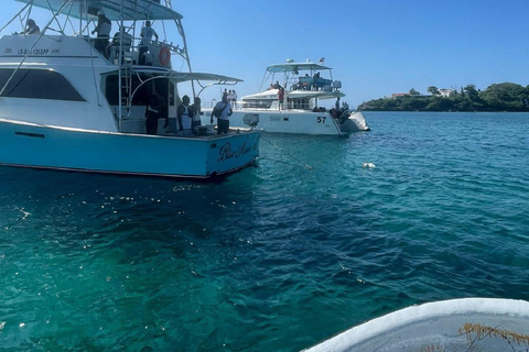 Puerto Plata: Catamaran Party with Snorkeling and Open Bar