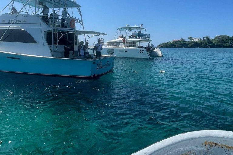 Puerto Plata: Catamaran Party with Snorkeling and Open Bar