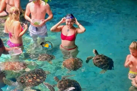 Zanzibar : Lagon Bleu, Étoiles de Mer et Tortues dans la Grotte de SalaamTransfert depuis n'importe quel hôtel à Zanzibar