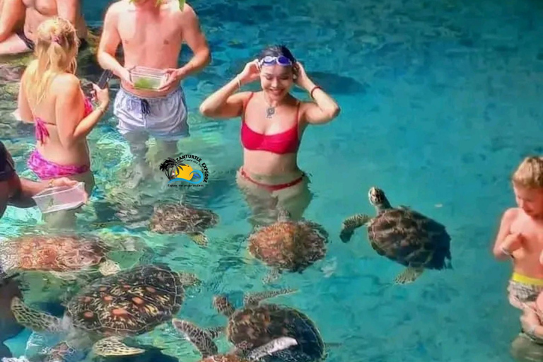 Zanzibar : Lagon Bleu, Étoiles de Mer et Tortues dans la Grotte de SalaamTransfert depuis n'importe quel hôtel à Zanzibar