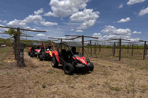Bamboo Dune Buggy Tour