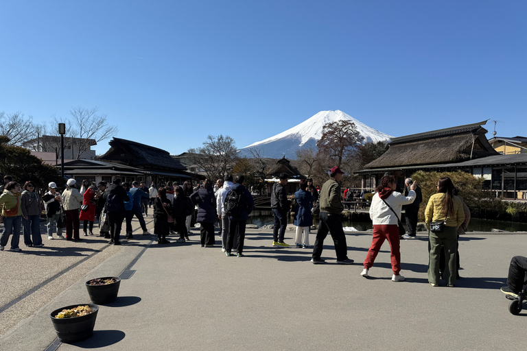 Tokyo: Mt Fuji A Journey Through Nature, History & Culture Tokyo: Mt Fuji A Journey Through Nature, History, & Culture