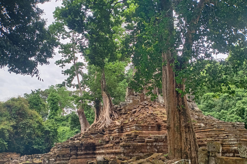 Siem Reap: 4 timmar-Angkor Thom guidad stadsvandring