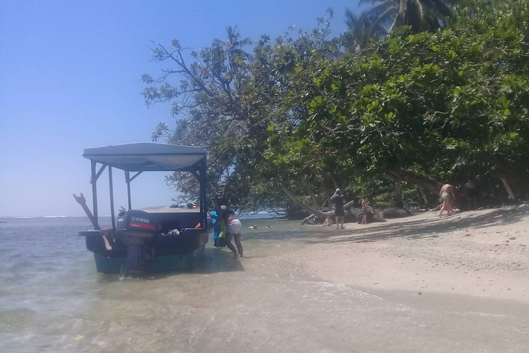 Cahuita National Park: Schnorcheln