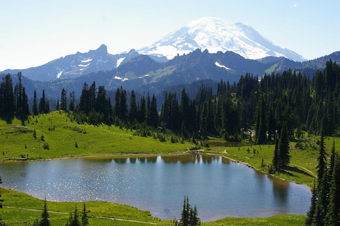 Seattle: Mount Rainier Park All-Inclusive Small Group Tour