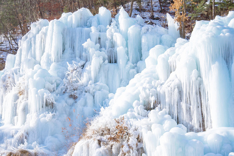 Seúl: Eobi Ice Valley, Alpaca World, isla de Nami y másExcursión compartida en bicicleta sobre raíles, encuentro en Myeongdong