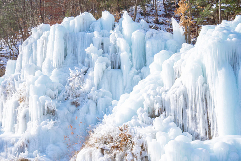 Seúl: Eobi Ice Valley, Alpaca World, isla de Nami y másExcursión compartida en bicicleta sobre raíles, encuentro en Myeongdong