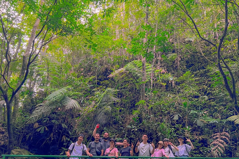 Wycieczka trekkingowa do Parku Narodowego Bach Ma z Hue/Da Nang/Hoi AnZ Hoi An / Da Nang - mała grupa