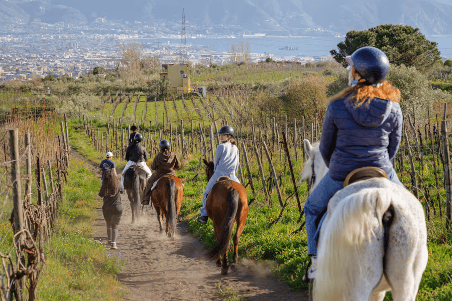 Pompeji: Ausritt auf den Vesuv mit Weinverkostung und Abendessen. Foto: GetYourGuide Pompeji: Ausritt auf den Vesuv mit Weinverkostung und Abendessen. Foto: GetYourGuide