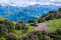 Kaikōura, tirolesa y viaje de aventura de bosque nativo - Housity