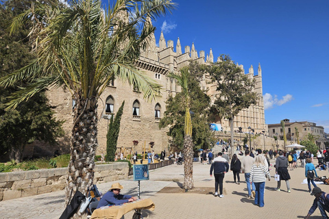 Palma: Old Town Guided Tour with Cathedral Skip-the-Line