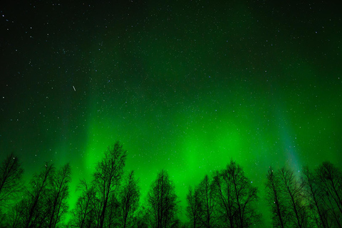 Rovaniemi: Aurora Hunting with 100% Refund. Small Group. Rovaniemi: Aurora Treasure Expedition & Refund (Standard)