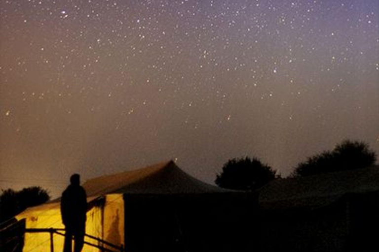 من دلهي: جولة في فاراناسي مع مرشد – غانغا آرتي وركوب قارب