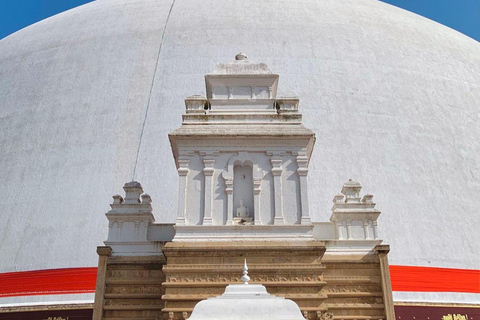Sigiriya to Wilpattu Safari & Anuradhapura Cultural Day Tour