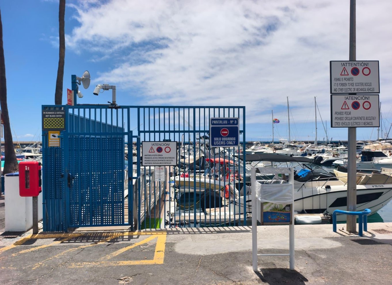 Puerto Colon: Speedbådscruise med delfin- og hvalsafari