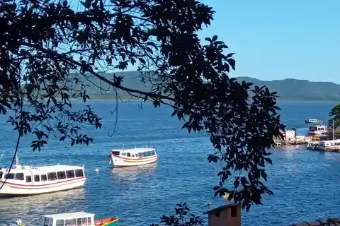 Costa da Lagoa: en fortryllende udflugt gennem den atlantiske skov