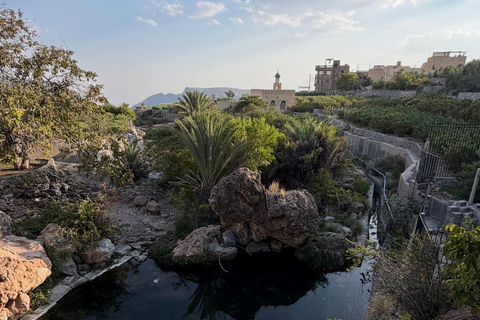 From Muscat: Nizwa & Jabal Akhdar with Multilingual Guide