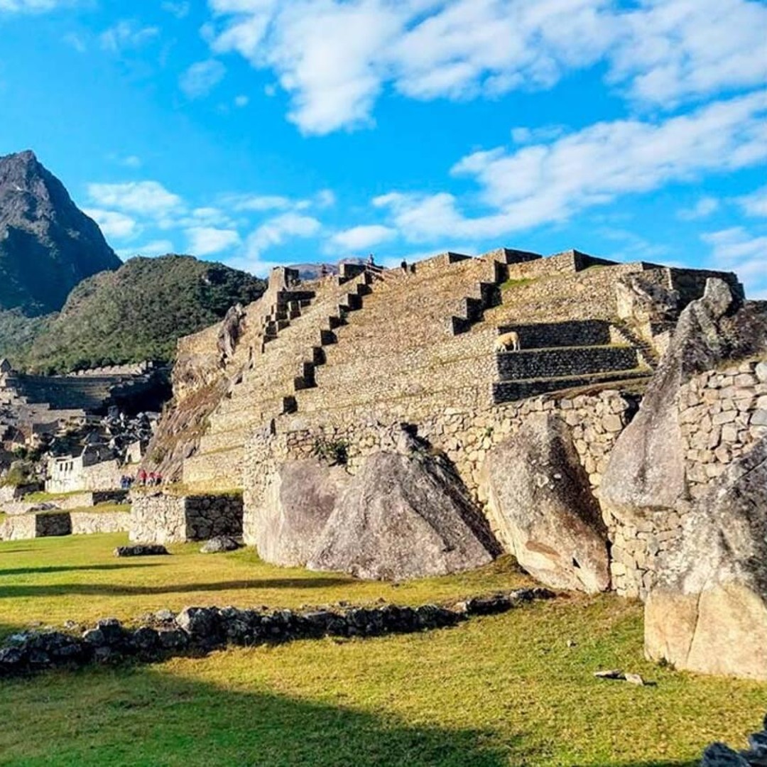 Galería de fotos para redes